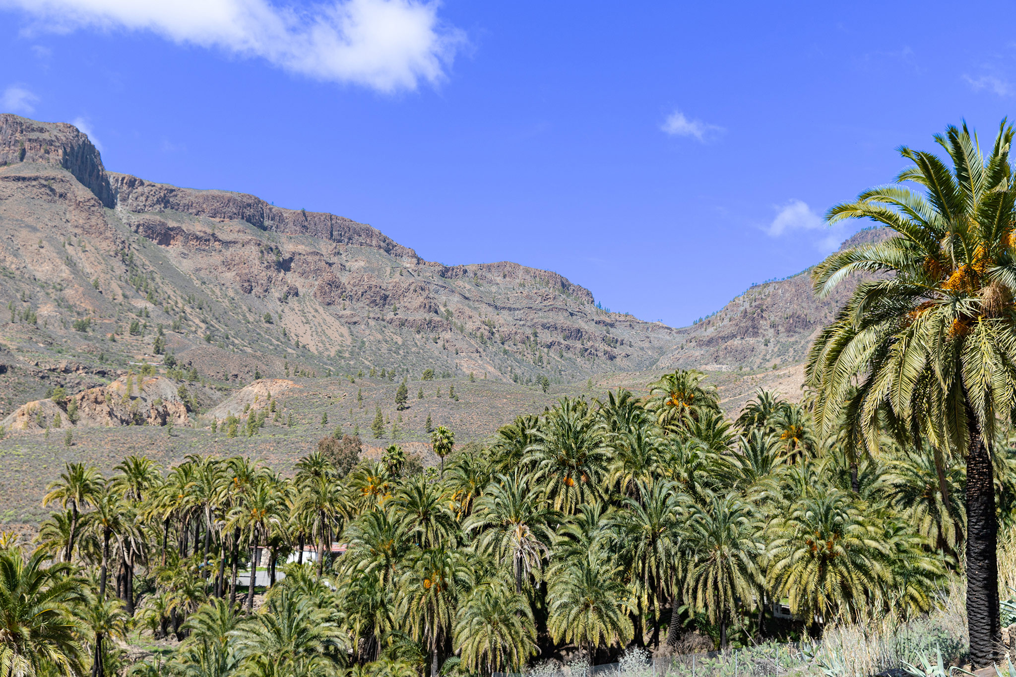 Roque Nublo and Rural del Nublo Park, Gran Canaria,  Canary Islands